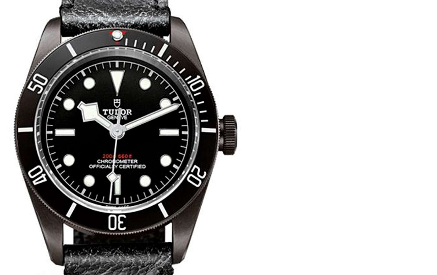 Tudor Black Bay M79230DK-0004 WatchProject 21 Shop